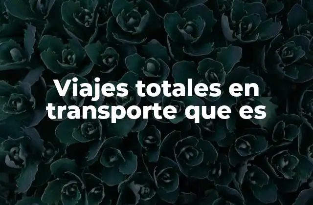 Viajes Totales en Transporte que es