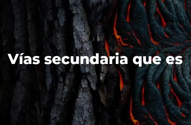 Vías Secundaria que es