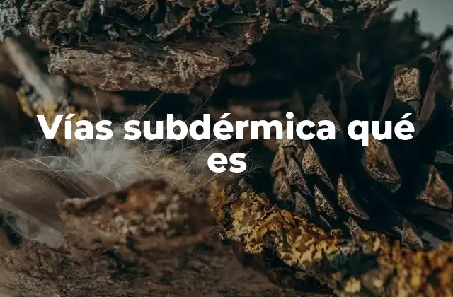 Vías Subdérmica Qué es