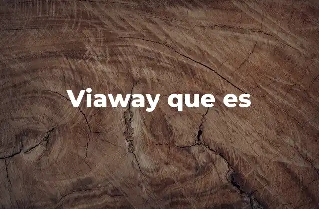 Viaway que es
