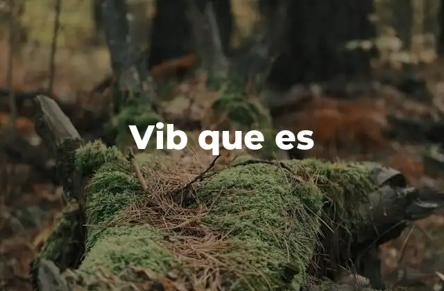 Vib que es