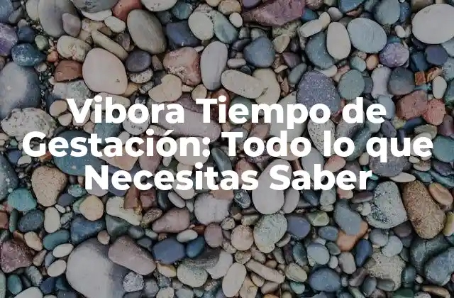 Vibora Tiempo de Gestación: Todo Lo que Necesitas Saber