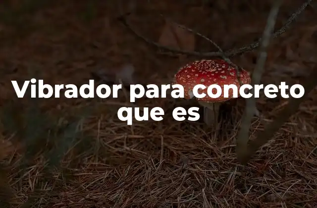 Vibrador para Concreto que es