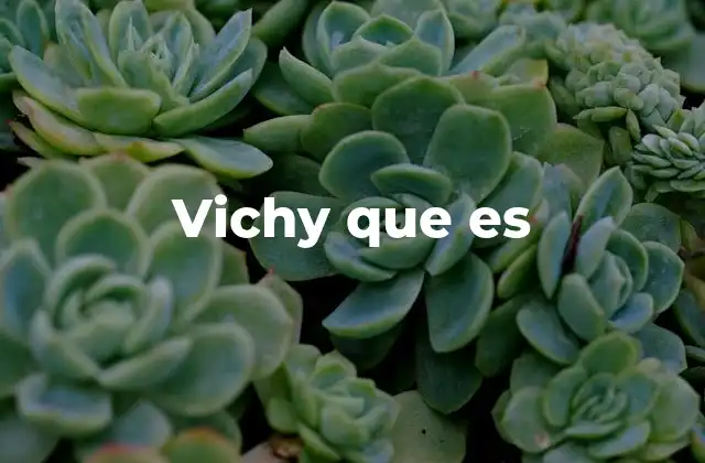 Vichy que es