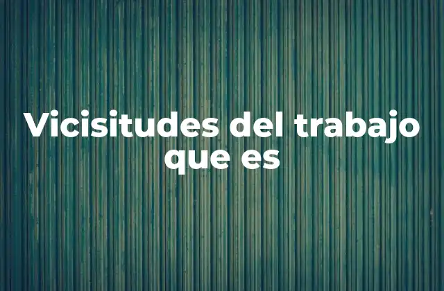 Vicisitudes Del Trabajo que es