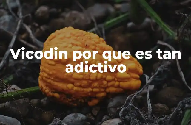 Vicodin por que es Tan Adictivo