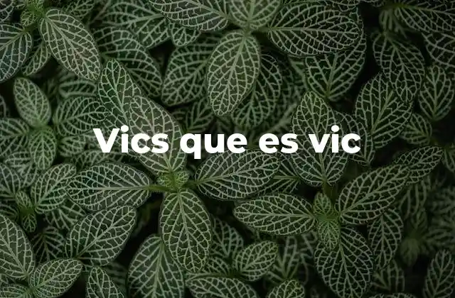 Vics que es Vic 2 El uso de vics en diferentes contextos