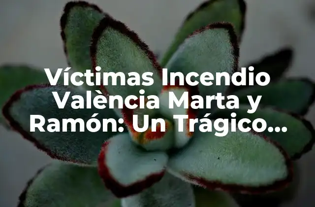 Víctimas Incendio València Marta y Ramón: un Trágico Accidente