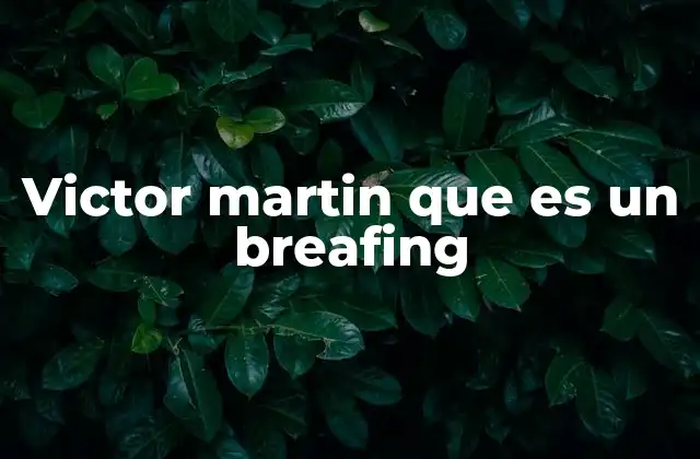 Victor Martin que es un Breafing