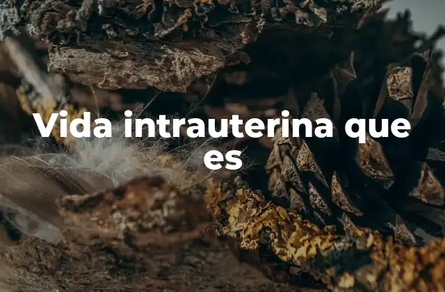 Vida Intrauterina que es