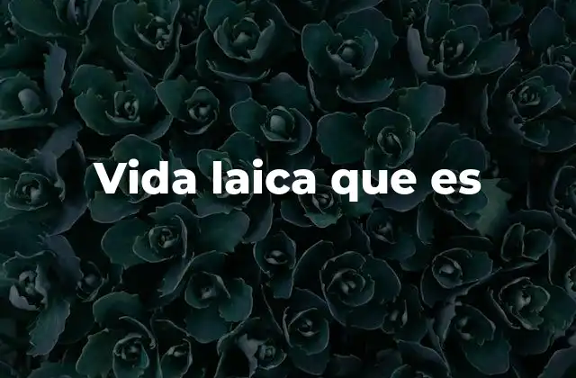 Vida Laica que es 2 El rol de los laicos en la Iglesia y la sociedad