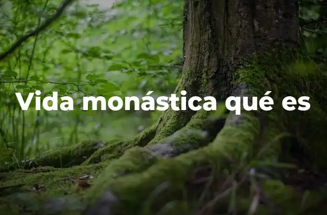 Vida Monástica Qué es