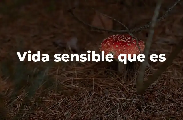 Vida Sensible que es