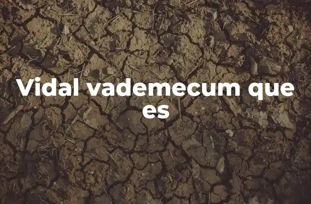 Vidal Vademecum que es