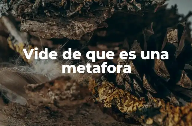 Vide de que es una Metafora