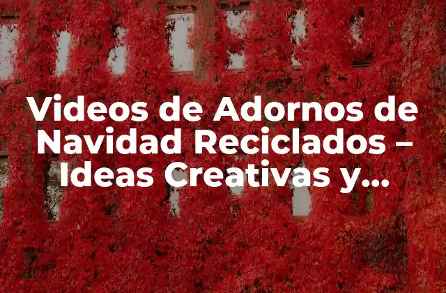 Videos de Adornos de Navidad Reciclados – Ideas Creativas y Ecológicas
