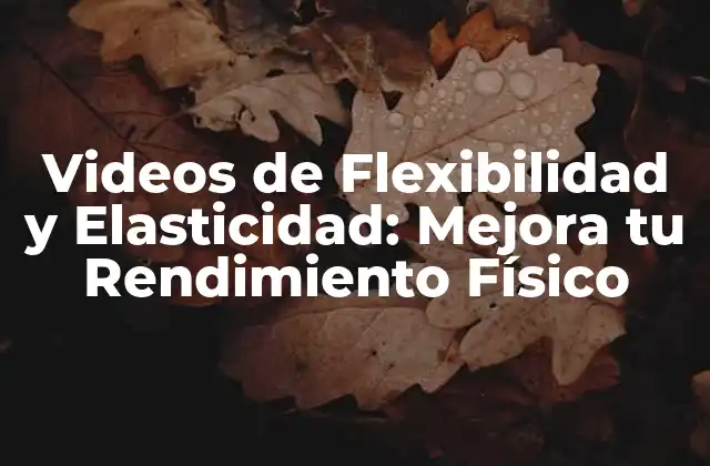 Videos de Flexibilidad y Elasticidad: Mejora Tu Rendimiento Físico