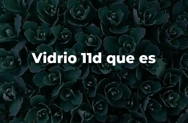 Vidrio 11d que es