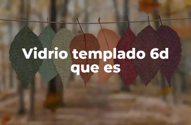 Vidrio Templado 6d que es