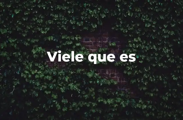 Viele que es 2 El impacto de la confusión entre idiomas en la comunicación