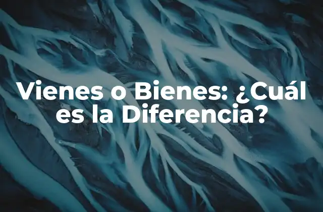 Definición de Vienes