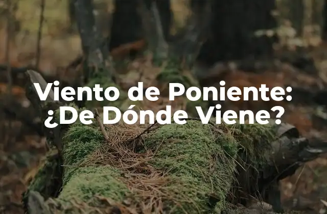 Viento de Poniente: ¿de Dónde Viene?