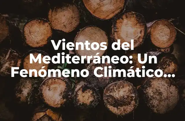 Vientos Del Mediterráneo: un Fenómeno Climático Complejo