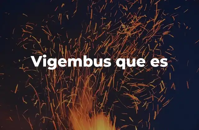 Vigembus que es
