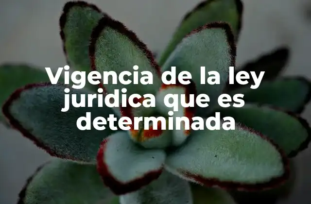 Vigencia de la Ley Juridica que es Determinada