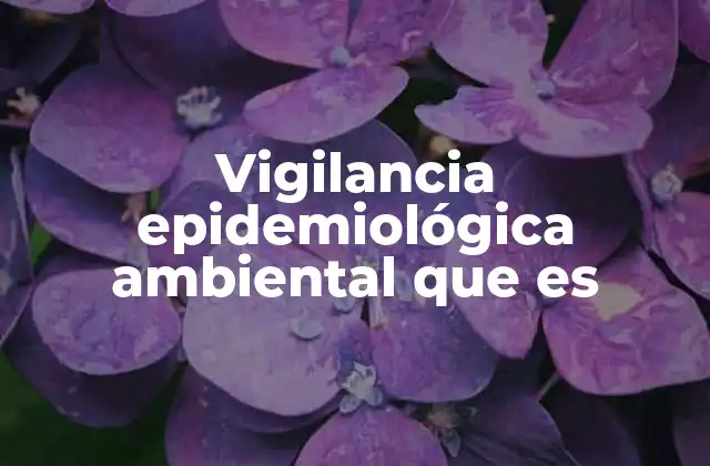 Vigilancia Epidemiológica Ambiental que es 2 La intersección entre salud y ambiente
