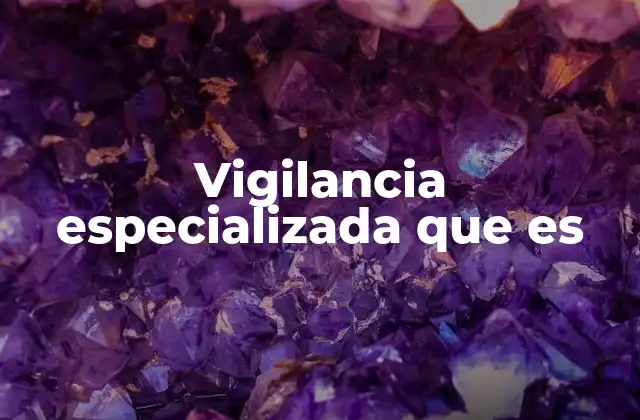 Vigilancia Especializada que es 18 Aplicaciones de la vigilancia especializada en distintos sectores