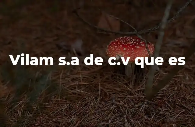 Vilam S.a de C.v que es