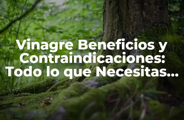 Vinagre Beneficios y Contraindicaciones: Todo Lo que Necesitas Saber