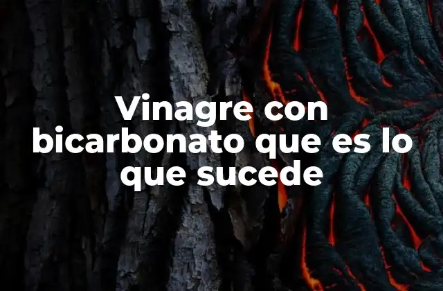 Vinagre con Bicarbonato que es Lo que Sucede