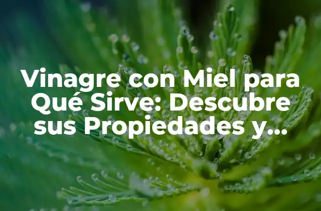 Vinagre con Miel para Qué Sirve: Descubre Sus Propiedades y Beneficios