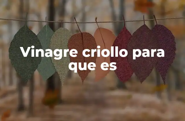 Vinagre Criollo para que es