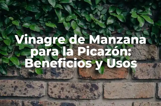 Vinagre de Manzana para la Picazón: Beneficios y Usos