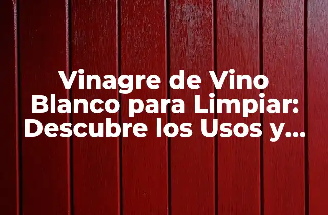 Vinagre de Vino Blanco para Limpiar: Descubre los Usos y Beneficios