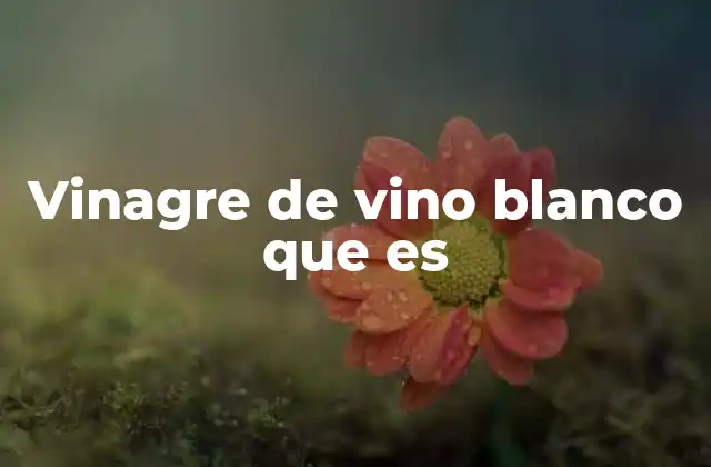 Vinagre de Vino Blanco que es