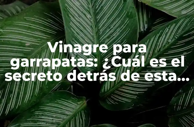 Vinagre para Garrapatas: ¿cuál es el Secreto Detrás de Esta Solución Natural?