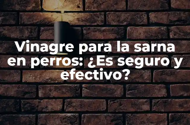 Vinagre para la Sarna en Perros: ¿es Seguro y Efectivo?