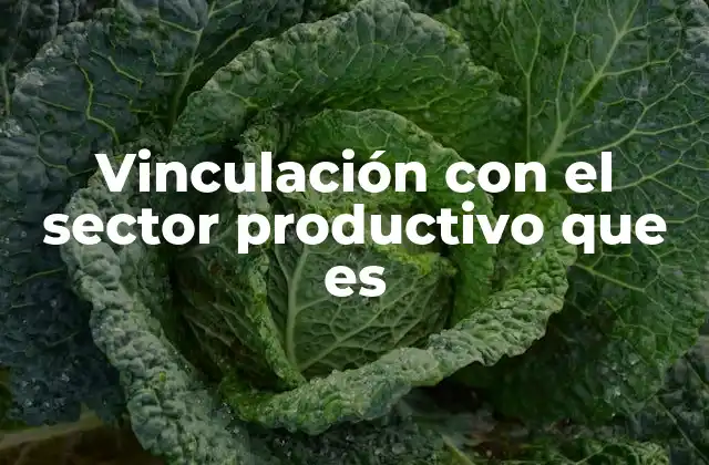 Vinculación con el Sector Productivo que es