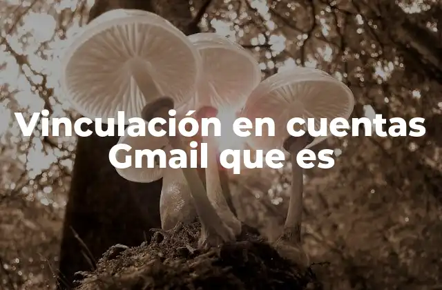 Vinculación en Cuentas Gmail que es