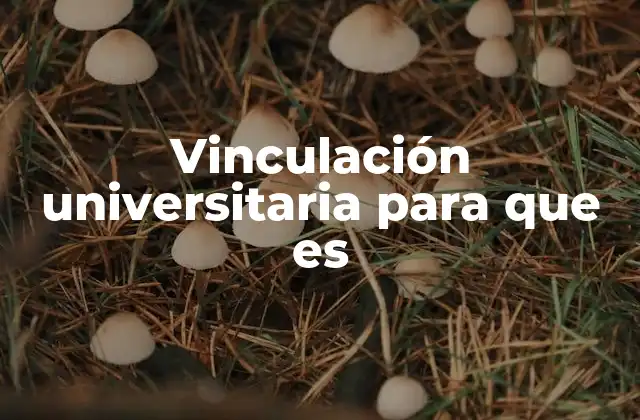 Vinculación Universitaria para que es