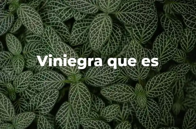 Viniegra que es