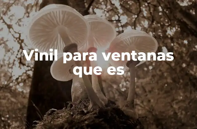 Vinil para Ventanas que es