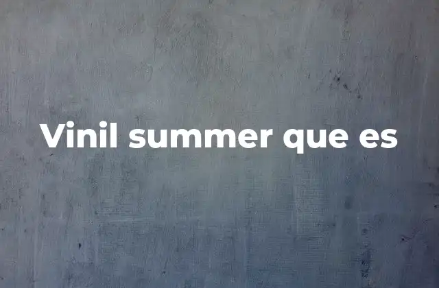 Vinil Summer que es