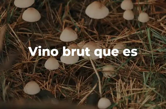 Vino Brut que es