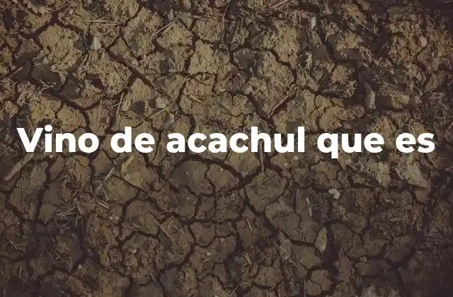 El proceso de elaboración del vino de acachul