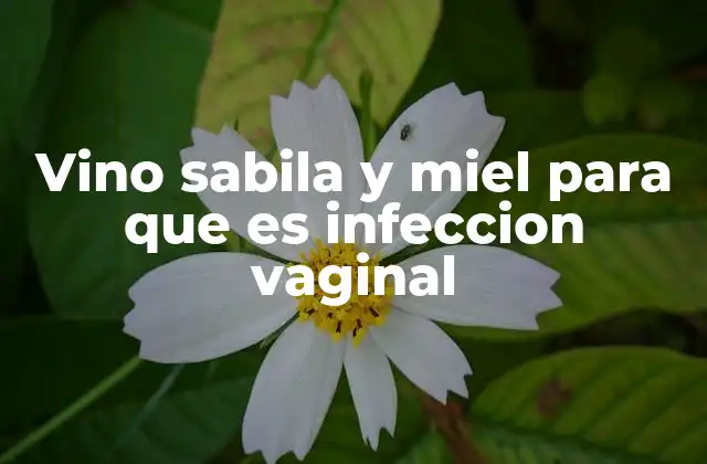 Vino Sabila y Miel para que es Infeccion Vaginal